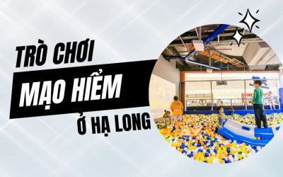 tro-choi-mao-hiem-o-ha-long