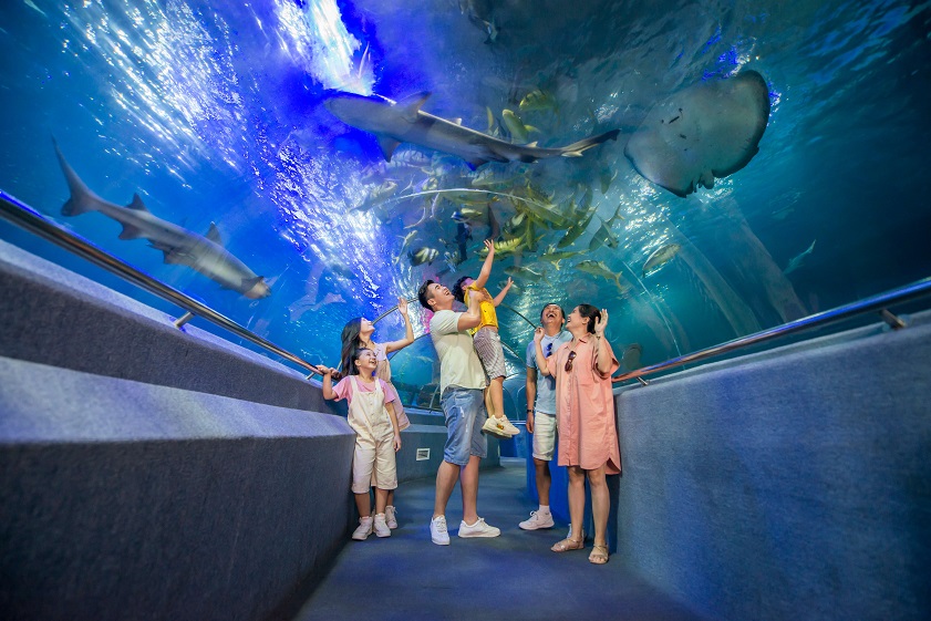 Thủy cung Vinpearl Nha Trang: Giá vé, hướng dẫn tham quan