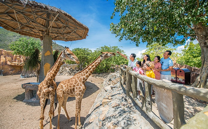 Tham quan King's Garden Nha Trang: Vườn thú độc đáo NHẤT Hòn Tre ...