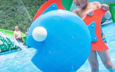 phun nước cá xoay AS-SA-3 - Công viên nước Việt Global