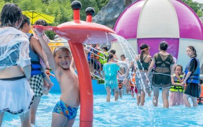 phun nước hươu cao cổ xoay AS-SA-2 - Công viên nước Việt Global